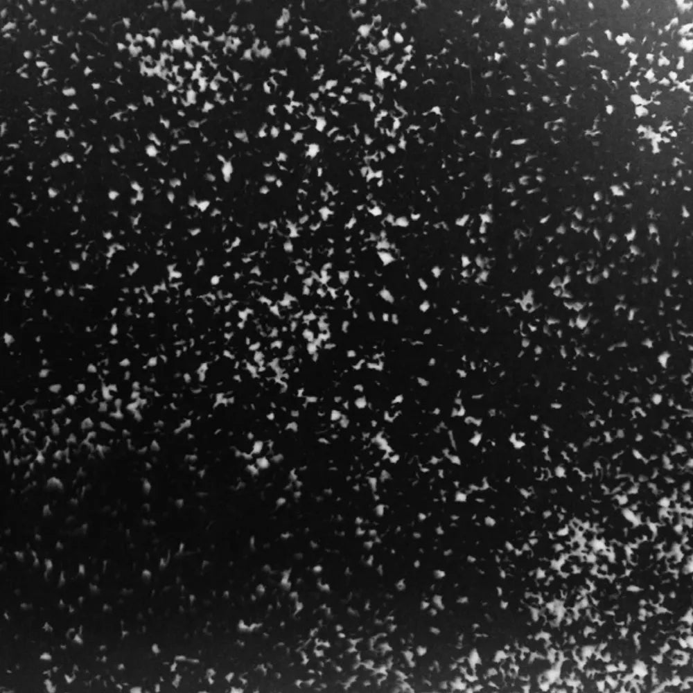 Black recycled polymer panel