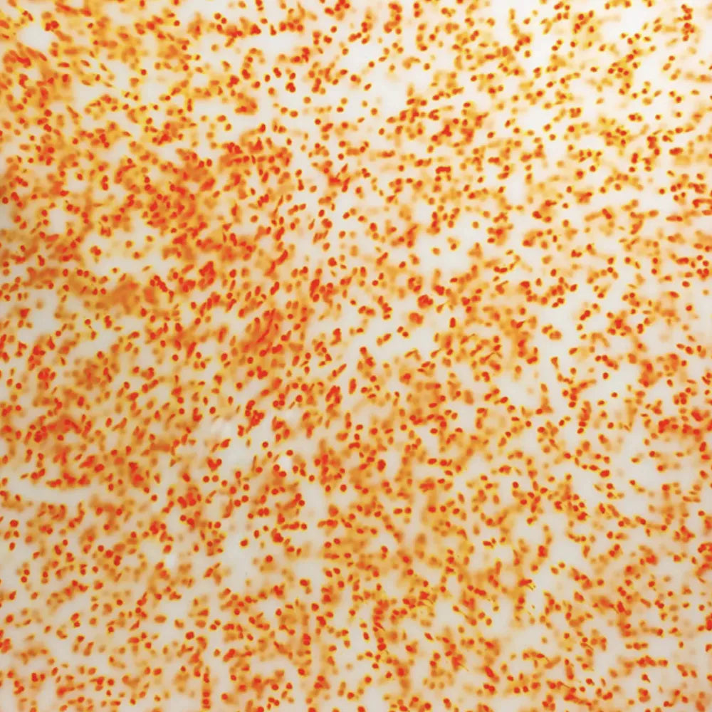 Orange recycled plastic panel