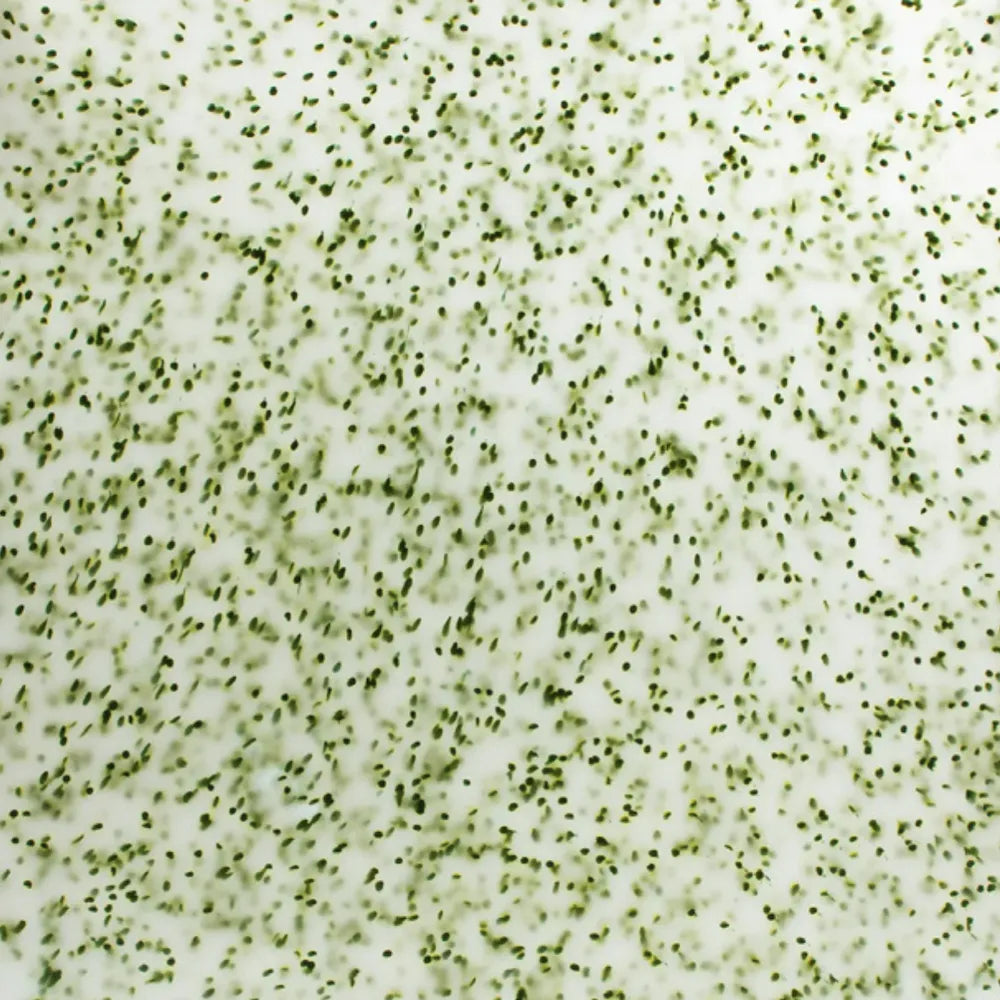 Green recycled plastic panel
