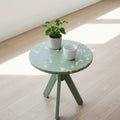 Green eco-friendly side table made from recycled polymer, with tripod legs, a potted plant, and white mug, set on a wood floor